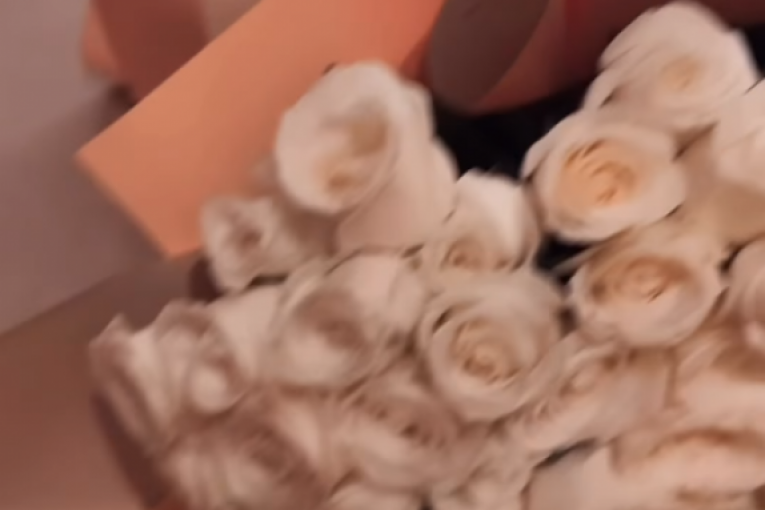 Maja Marinković Instagram