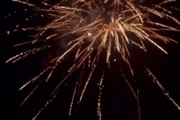 Proslava 18. rođendana Zvicerove ćerke