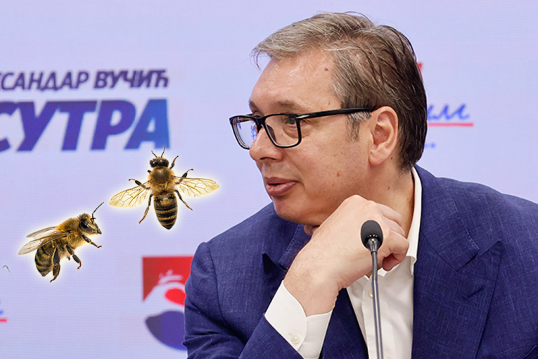 PČELE NA DALJINSKI I OSTALE BAJKE BLOKADERA! I Vučića slatko nasmejale besmislice o insektima koje je vlasnik "NAMERNO USMERIO NA STUDENTE FOTELJAŠE"!