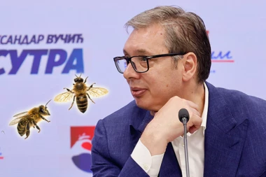PČELE NA DALJINSKI I OSTALE BAJKE BLOKADERA! I Vučića slatko nasmejale besmislice o insektima koje je vlasnik "NAMERNO USMERIO NA STUDENTE FOTELJAŠE"!