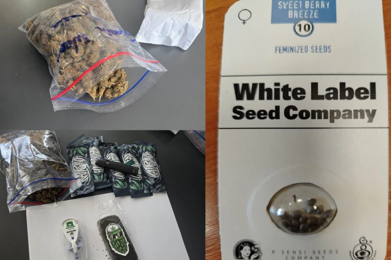 MARIHUANA POŠTOM STIGLA U NIŠ I BEOGRAD! Carinici se šokirali kada su otvorili sumnjive pošiljke! (FOTO)