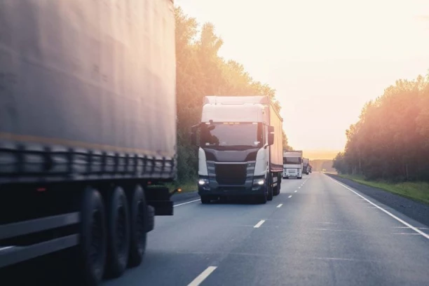 SRPSKI KAMIONDŽIJA UMRO U ZAUSTAVNOJ TRACI! Zaustavio vozilo - VOZAČI PROLAZILI PORED NJEGA!