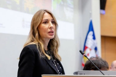 OD OKTOBRA I DEO MALE PRIVREDE MOŽE IMATI NIŽE CENE STRUJE! Ministarka Đedović Handanović objavila sjajne vesti!