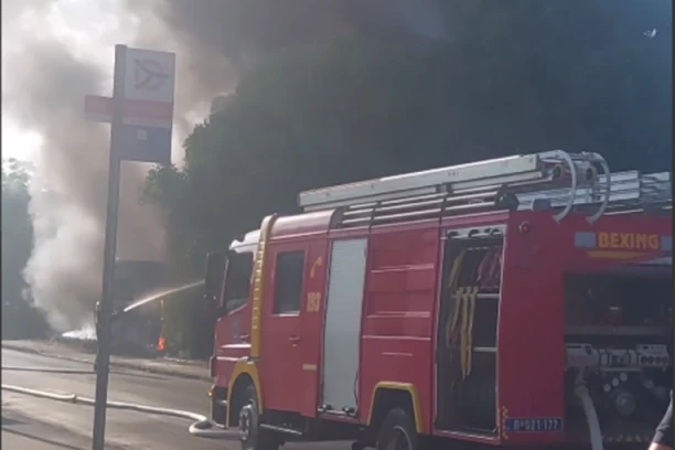 VELIKI POŽAR KOD ULCINJA! Čuju se eksplozije, kulja crni dim! (FOTO)