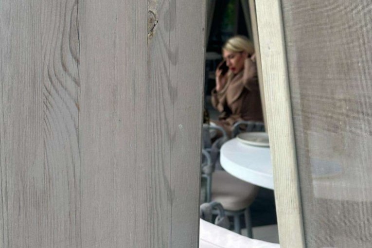 Jovana Jeremić pre sastanka sa ruskim tajkunom