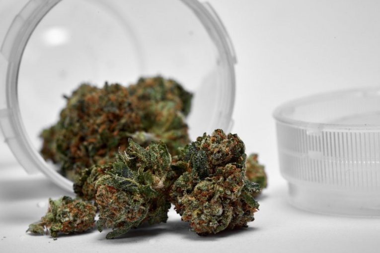 shutterstock/MWesselPhoto