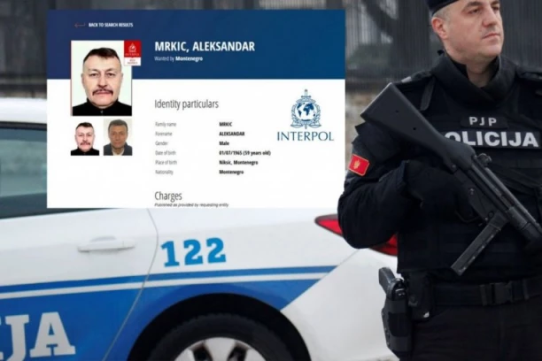 ALEKSANDAR MRKIĆ NA MEĐUNARODNOJ POTERNICI! Interpol traži PRVOG ČOVEKA kriminalne organizacije ZBOG OVIH ZLOČINA