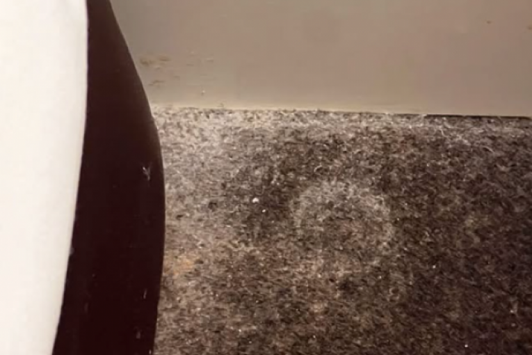 Indine objave na Instagramu