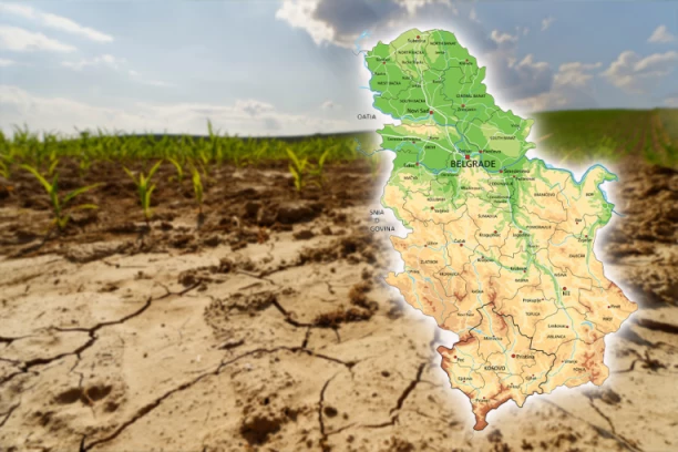 OPASNOST! Objavljeni dramatični podaci: Ovog leta je Beograd "pregoreo"