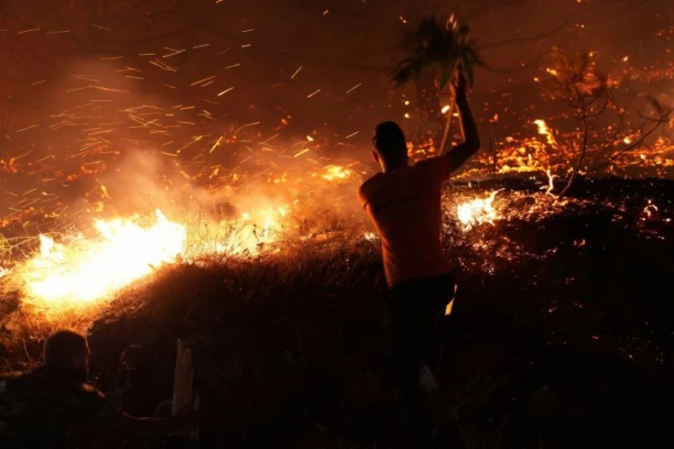 POŽARI GUTAJU PALAJA FOKAJU! Vatrogasci ne mogu da obuzdaju veliku buktinju oko Atine, VATRA OKOVALA GRČKU (FOTO, VIDEO)