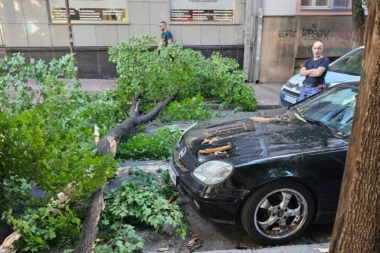 OLUJNI VETAR ČUPAO STABLA U ISTOČNOJ SRBIJI! Najgore je bilo u Bajinoj Bašti