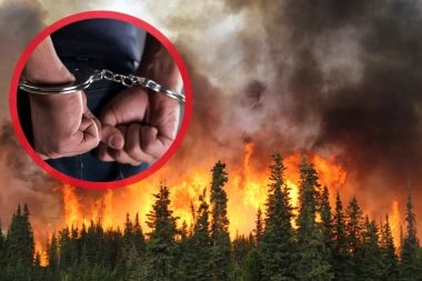 UHAPŠEN OSUMNJIČENI ZA OGROMAN POŽAR KOD ULCINJA! Šteta veća od DVA MILIONA EVRA, ovo je UZROK!