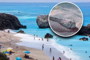 PAZITE DA SE I VAMA LETOVANJE NE PRETVORI U PAKAO! Srbin na moru nagazio na otrovnu ribu