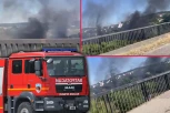 VELIKI POŽAR KOD PANČEVAČKOG MOSTA! Gori nisko rastinje! (VIDEO)