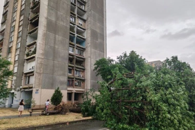 HOROR! Stablo palo na dete i ubilo ga!