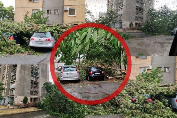 VETAR ČUPA DRVEĆE IZ KORENA! Nevreme tutnji Srbijom - OVAJ grad prvi na meti oluje! (FOTO, VIDEO)