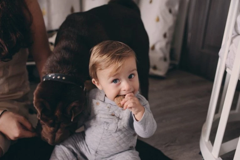 RODITELJI SU POKUŠAVALI DA NAUČE BEBU DA KAŽE MAMA: Usledio je šok kad se umesto deteta začuo pas! (VIDEO)