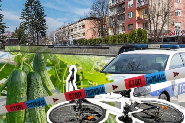 UBIO GA ZBOG KORNIŠONA: Novi detalji ubistva u selu kod Varvarina donose ŠOK- Kolima udario čoveka na biciklu