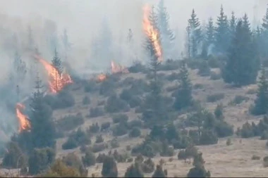 GORI KRALJEVO! Požari na deset lokacija, na terenu preko 50 vatrogasaca-spasilaca - VATRA GUTA HEKTARE ŠUMA! (VIDEO)
