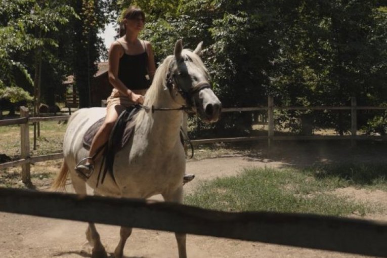 Kancelarija za mlade Grada Beograda