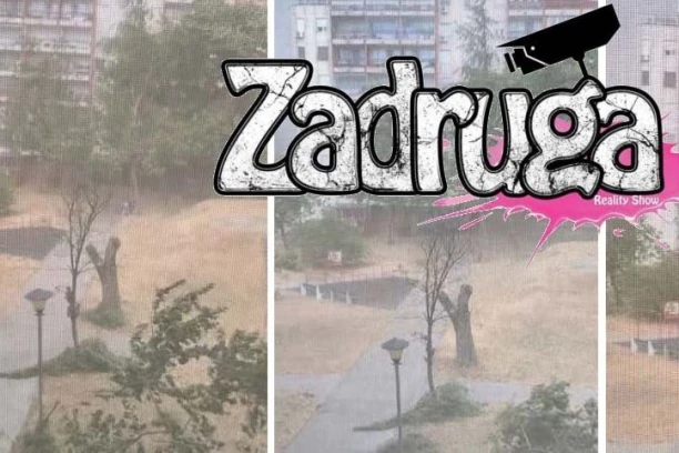 ZAROBILO JE STRAVIČNO NEVREME, STABLO JOJ GNJEČI AUTOMOBIL! Naša pevačica zapomaže iz sveg glasa, SNIMAK SA LICA MESTA! (VIDEO)