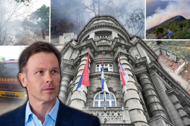 HITNA ODLUKA VLADE! Mali: Tri miliona evra za pomoć najugroženijima u požarima