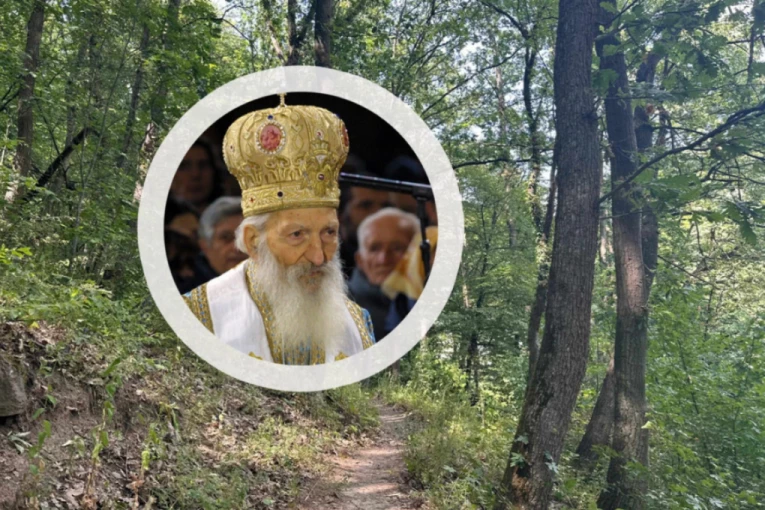 OVDE JE PATRIJARH PAVLE OZDRAVIO: Lečio se, pio kozje mleko i stalno išao do izvora lekovite vode