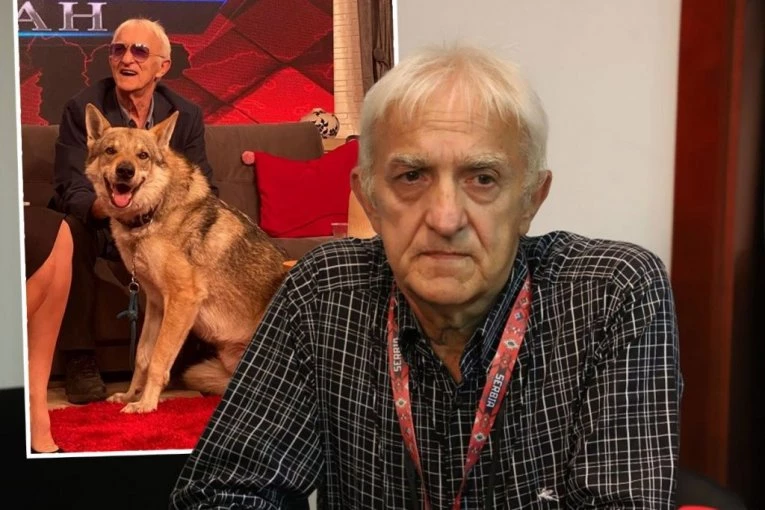 VUK-PAS IZUJEDAO ŽENU! Drama u prostorijama Fondacije Kapetan Dragan!