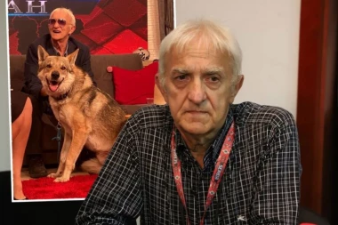 VUK-PAS IZUJEDAO ŽENU! Drama u prostorijama Fondacije Kapetan Dragan!