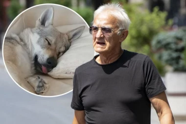 NISAM SPAVAO CELU NOĆ, BILO JE STRAŠNO, NEOČEKIVANO OD NJEGA! Oglasio se Kapetan Dragan o incidentu u kome je njegov vuk-pas napao ženu: "Približila mu se previše, uplašio se..."