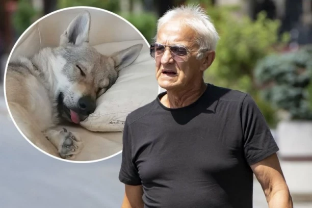NISAM SPAVAO CELU NOĆ, BILO JE STRAŠNO, NEOČEKIVANO OD NJEGA! Oglasio se Kapetan Dragan o incidentu u kome je njegov vuk-pas napao ženu: "Približila mu se previše, uplašio se..."