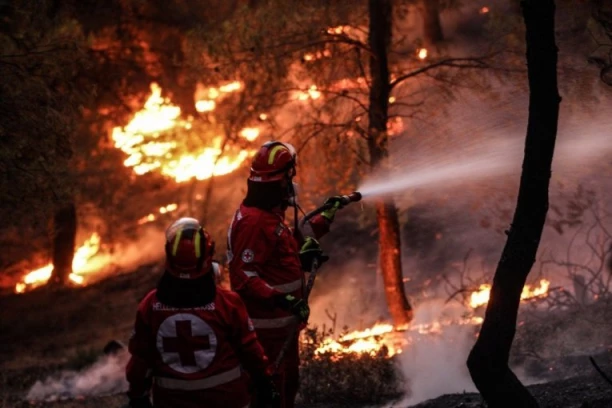 SRPSKI TURISTI SE ZATEKLI NA PLAŽI TOKOM STRAHOVITOG POŽARA NA TASOSU! Oglasila se konzulka Srbije u Solunu: Ovo su najnovije informacije o našim državljanima!