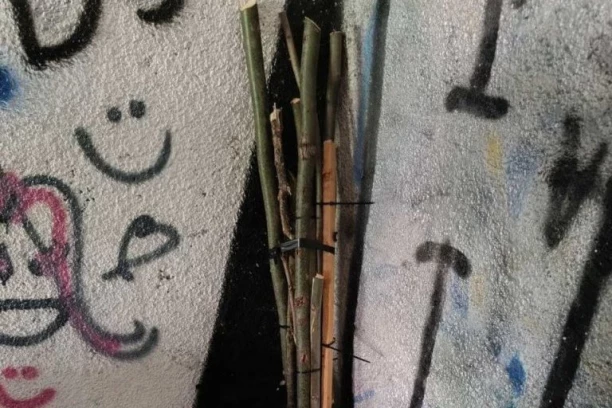 POLICIJA U UŽICU PRONAŠLA BUNT DRVENIH MOTKI! Građanima hitno upućena apel da se suzdrže od nasilja!