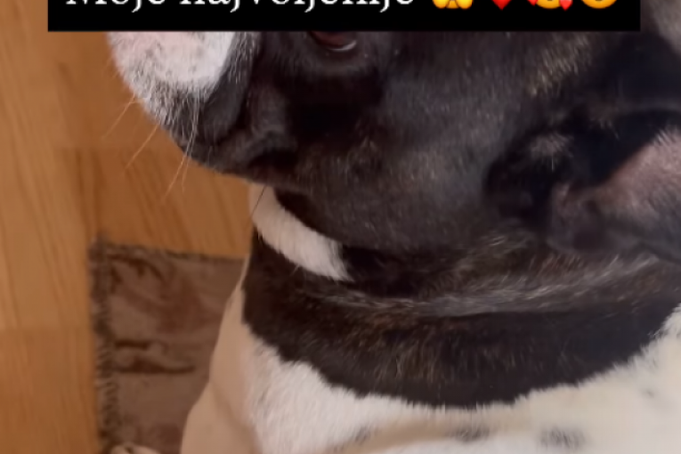 Slađa Lazić Instagram