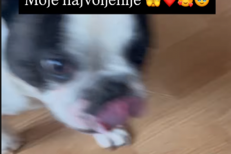 Slađa Lazić Instagram