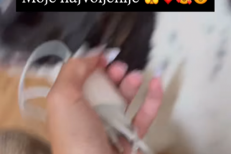 Slađa Lazić Instagram