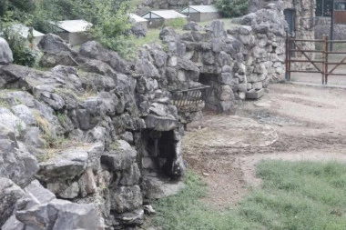 SPEKULACIJE O MASOVNOM POMORU ŽIVOTINJA UZDRMALE JAVNOST, INSPEKCIJA NA TERENU: Evo šta su zatekli u zoo-vrtu na Paliću