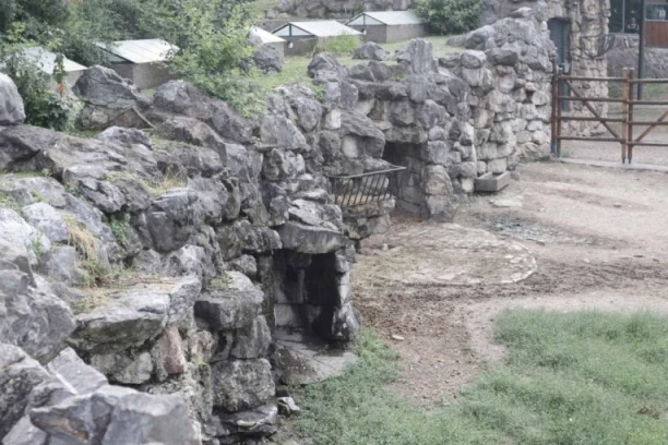 SPEKULACIJE O MASOVNOM POMORU ŽIVOTINJA UZDRMALE JAVNOST, INSPEKCIJA NA TERENU: Evo šta su zatekli u ZOO vrtu na Paliću