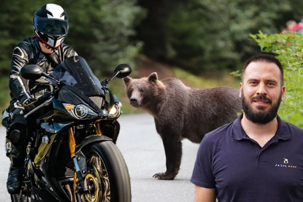 ŠOK-SCENA U RUMUNIJI! Marku Rokviću izleteo MEDVED na put - pevač sve USNIMIO, pa se hitno oglasio! (VIDEO)