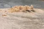 VODA NARODU DO ČLANAKA, OGROMNU ŠTETU PRETRPELI I USEVI! Snažno nevreme napravilo haos u selu kod Trstenika! (VIDEO)
