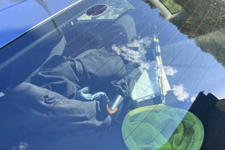 Ubistvo u Bajinoj Bašti