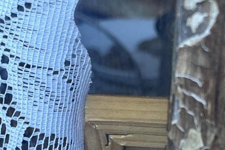 Ubistvo u Bajinoj Bašti