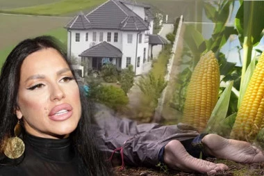 UBILA MUŽA, MRTVO TELO ISPRED KUĆE SEKE ALEKSIĆ! Stravične scene u Staroj Pazovi LEDE KRV u žilama, leš sakrila u KUKURUZU!