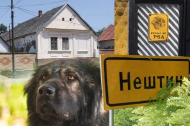 ODE MOJA ŽENICA, KUKU MENI! Prve reči čoveka čiju su ženu RASTRGLI PSI u Bačkoj Palanci (FOTO, VIDEO)