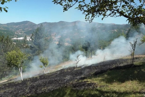 JEDNA OSOBA TEŠKO POVREĐENA! Bukte požari kod Čačka i Aleksinca: Gore zasadi i šuma