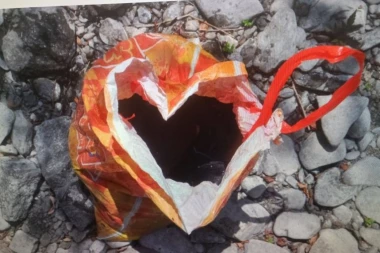 UDAVIO U RECI 6 ŠTENACA! Muškarac u Mionici ubio komšijine pse! Uznemirujući sadržaj objavljivao na društvenim mrežama! (FOTO)