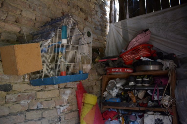 Republika u Titelu u akciji pomaganja dečaku Dušanu Ljuboviću