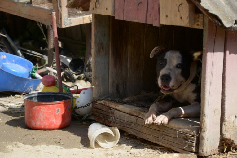 Ovako je bilo u julu, živeli u bedi