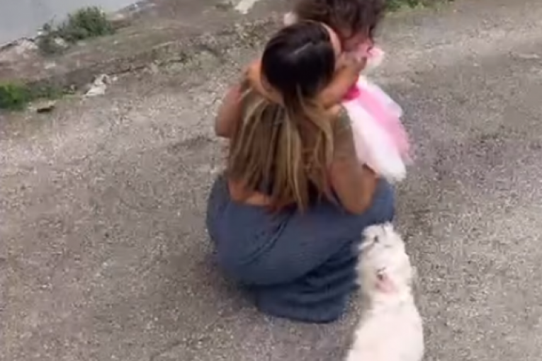 Anelin susret sa Norom