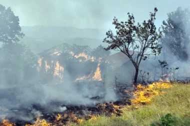POŽAR OPUSTOŠIO SELO KOD UŽICA! Vatra guta sve pred sobom, ostaju olupine pored puta! (VIDEO)